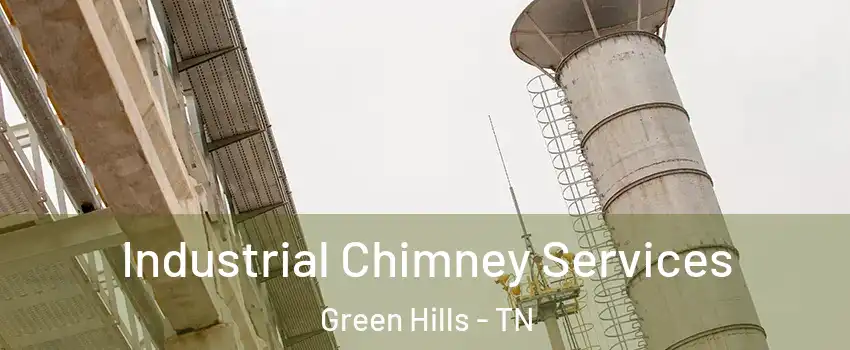 Industrial Chimney Services Green Hills - TN