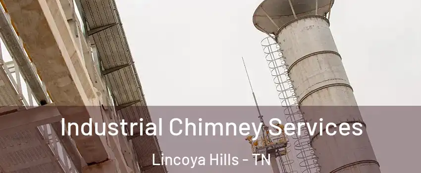 Industrial Chimney Services Lincoya Hills - TN