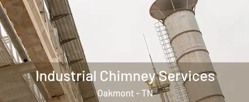 Industrial Chimney Services Oakmont - TN