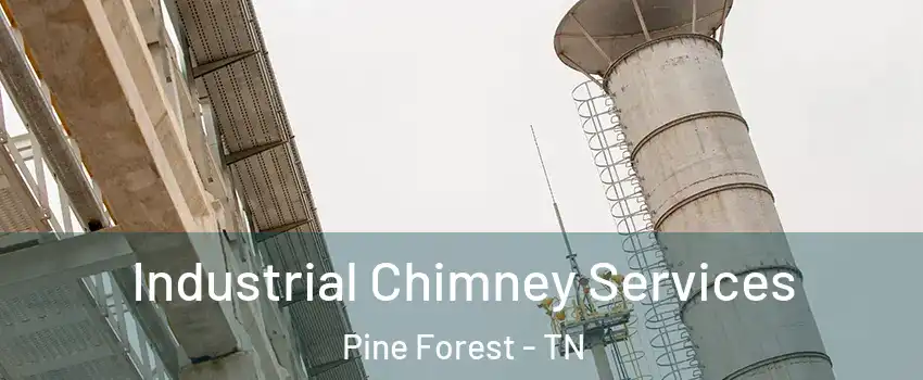 Industrial Chimney Services Pine Forest - TN