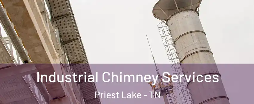 Industrial Chimney Services Priest Lake - TN