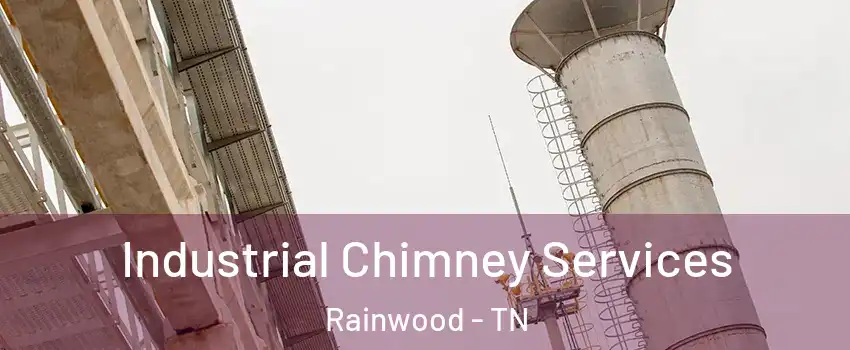 Industrial Chimney Services Rainwood - TN