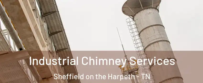 Industrial Chimney Services Sheffield on the Harpeth - TN