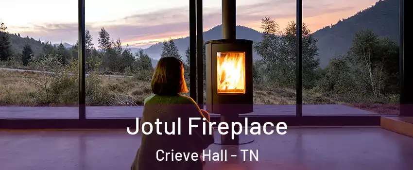 Jotul Fireplace Crieve Hall - TN