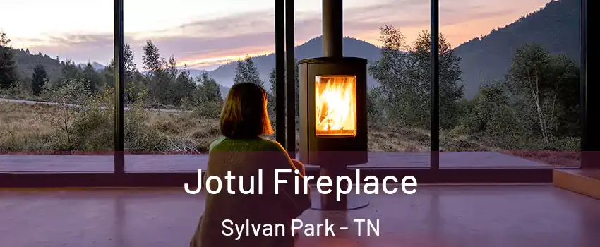 Jotul Fireplace Sylvan Park - TN