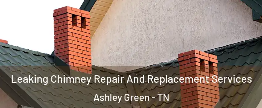 Leaking Chimney Repair And Replacement Services Ashley Green - TN