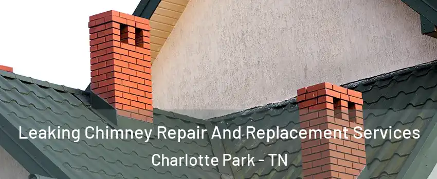 Leaking Chimney Repair And Replacement Services Charlotte Park - TN