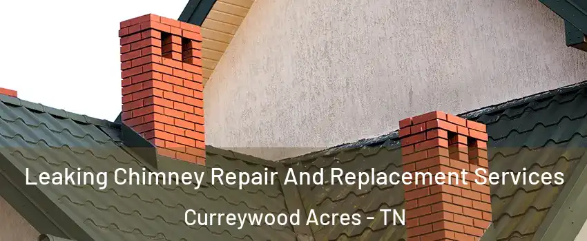 Leaking Chimney Repair And Replacement Services Curreywood Acres - TN