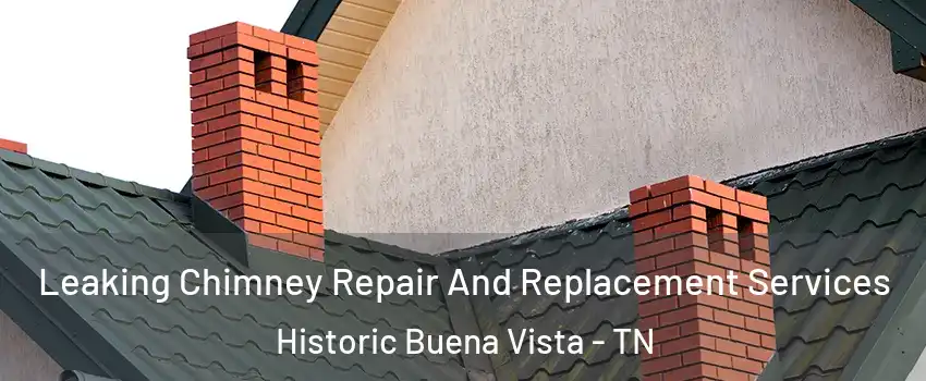 Leaking Chimney Repair And Replacement Services Historic Buena Vista - TN