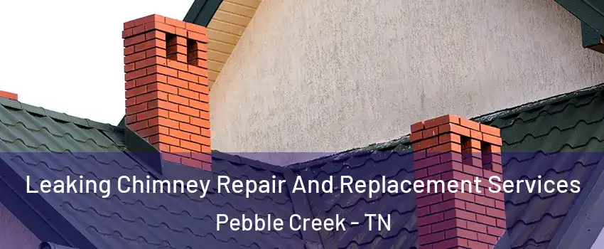 Leaking Chimney Repair And Replacement Services Pebble Creek - TN