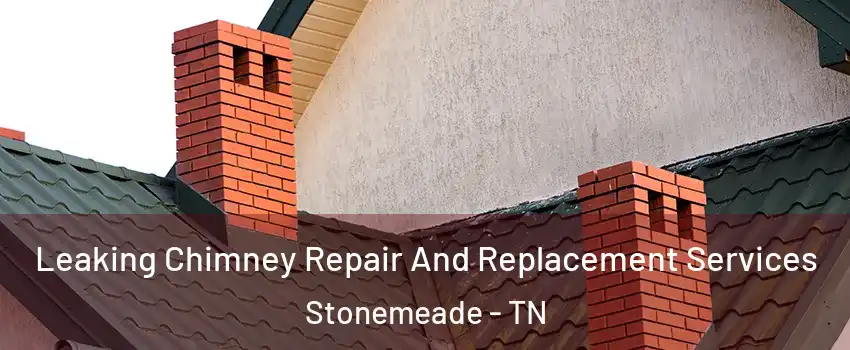 Leaking Chimney Repair And Replacement Services Stonemeade - TN