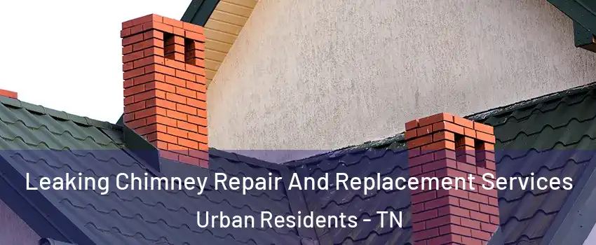 Leaking Chimney Repair And Replacement Services Urban Residents - TN