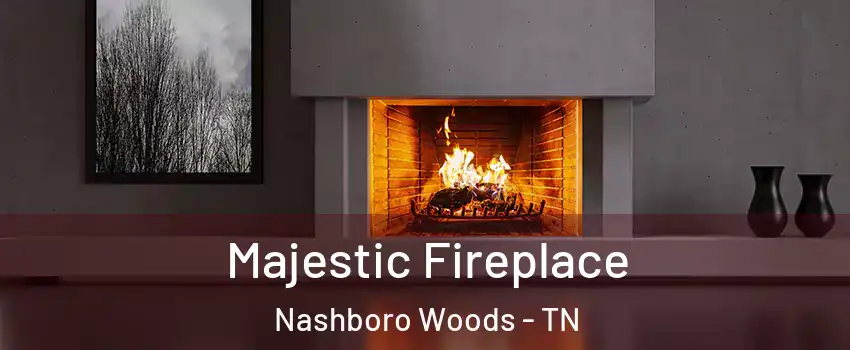 Majestic Fireplace Nashboro Woods - TN