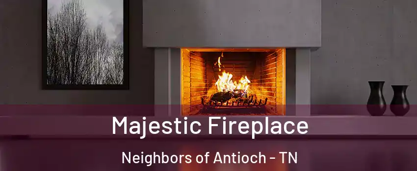 Majestic Fireplace Neighbors of Antioch - TN