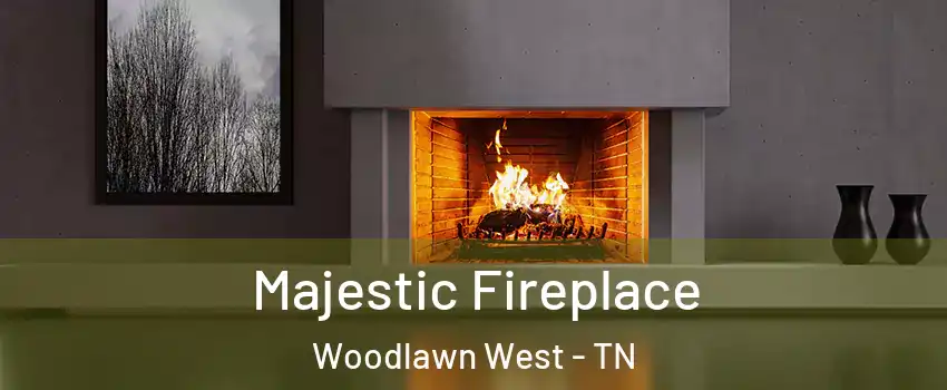 Majestic Fireplace Woodlawn West - TN