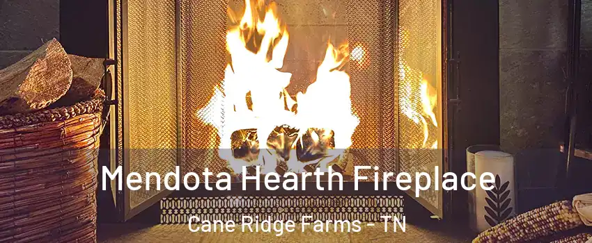 Mendota Hearth Fireplace Cane Ridge Farms - TN