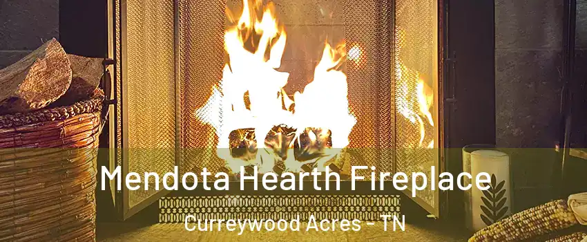 Mendota Hearth Fireplace Curreywood Acres - TN