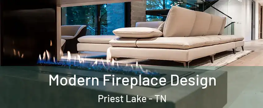 Modern Fireplace Design Priest Lake - TN