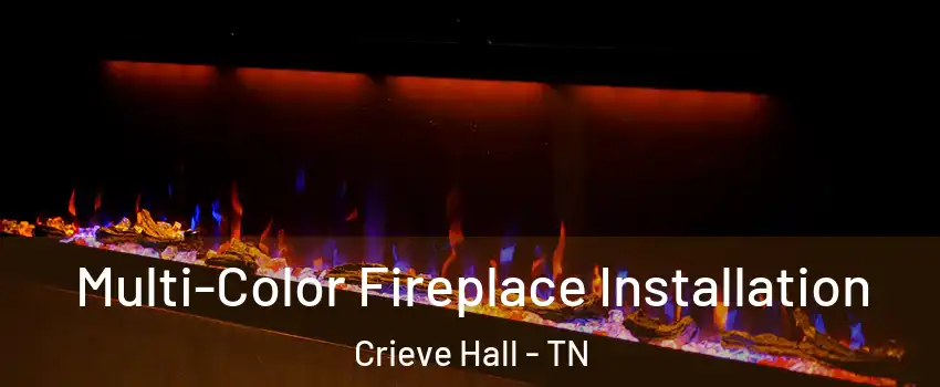 Multi-Color Fireplace Installation Crieve Hall - TN