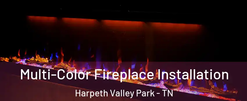 Multi-Color Fireplace Installation Harpeth Valley Park - TN