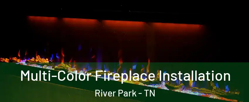 Multi-Color Fireplace Installation River Park - TN