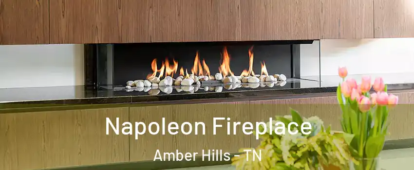 Napoleon Fireplace Amber Hills - TN