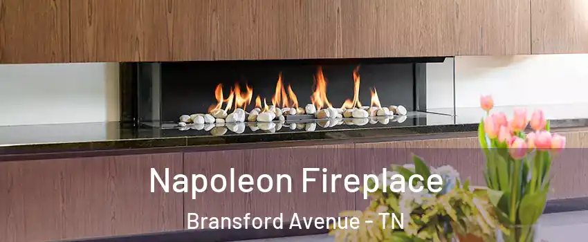 Napoleon Fireplace Bransford Avenue - TN