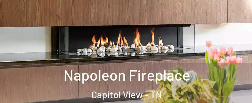 Napoleon Fireplace Capitol View - TN