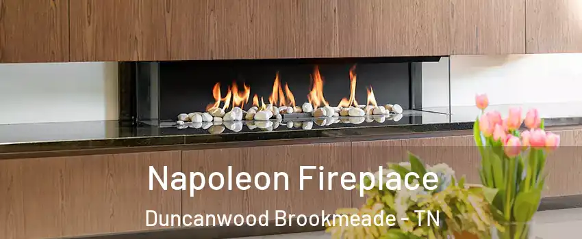 Napoleon Fireplace Duncanwood Brookmeade - TN