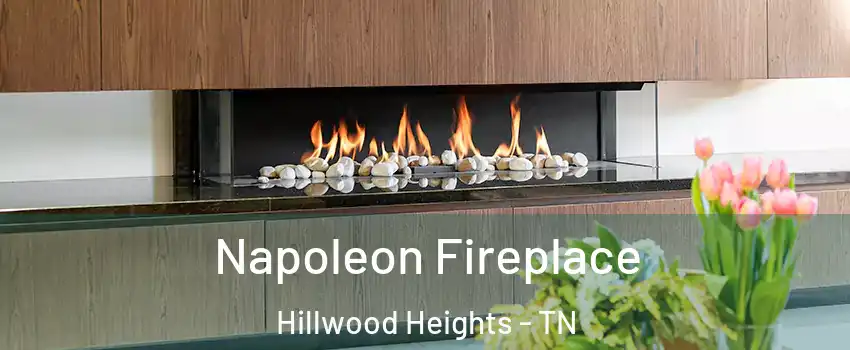 Napoleon Fireplace Hillwood Heights - TN