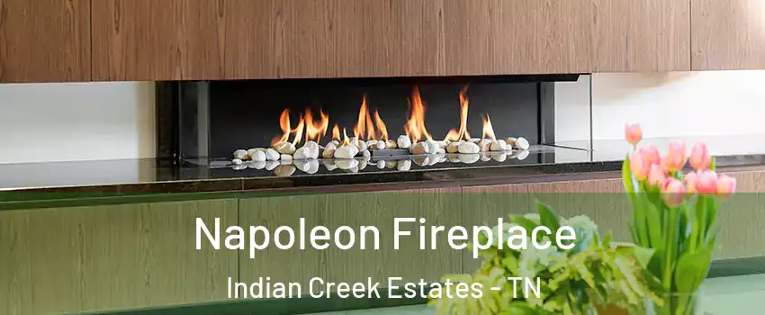 Napoleon Fireplace Indian Creek Estates - TN