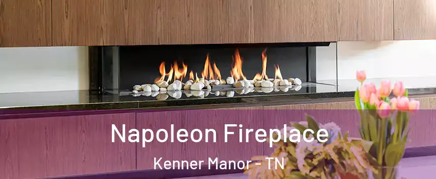 Napoleon Fireplace Kenner Manor - TN