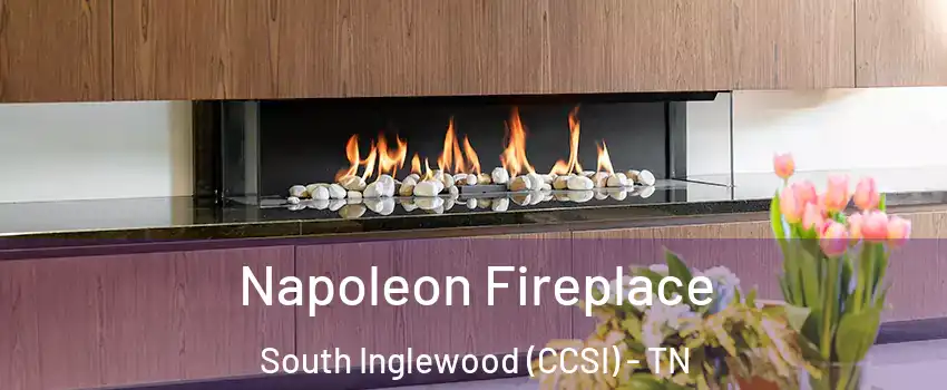 Napoleon Fireplace South Inglewood (CCSI) - TN