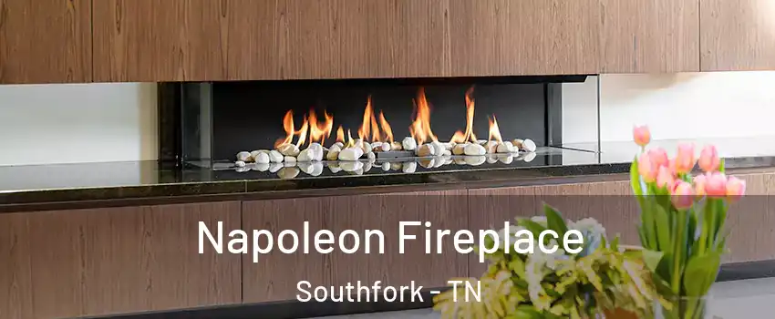 Napoleon Fireplace Southfork - TN