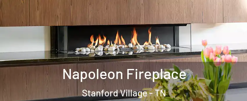 Napoleon Fireplace Stanford Village - TN