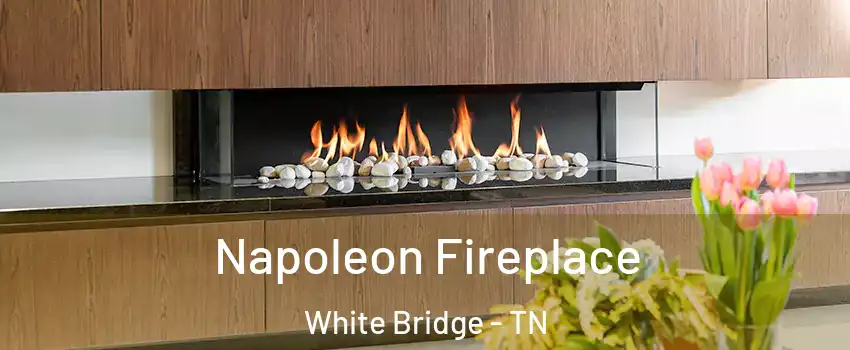 Napoleon Fireplace White Bridge - TN