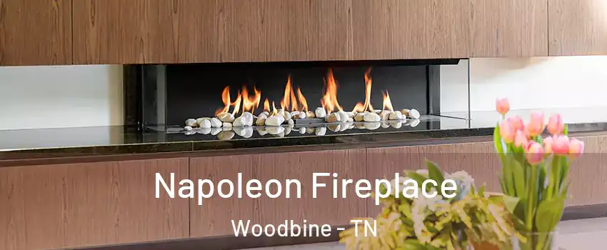 Napoleon Fireplace Woodbine - TN