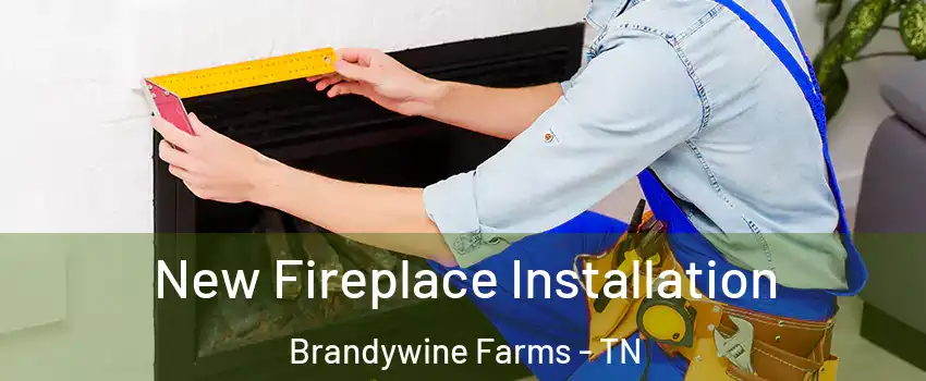 New Fireplace Installation Brandywine Farms - TN