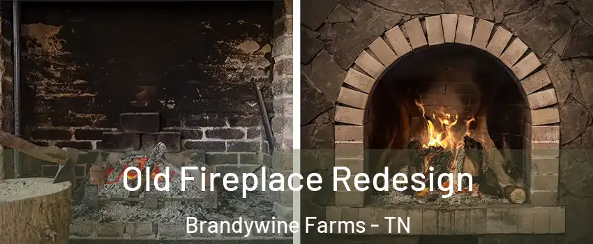 Old Fireplace Redesign Brandywine Farms - TN