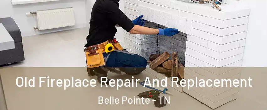 Old Fireplace Repair And Replacement Belle Pointe - TN