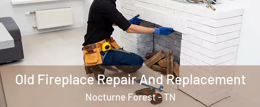 Old Fireplace Repair And Replacement Nocturne Forest - TN