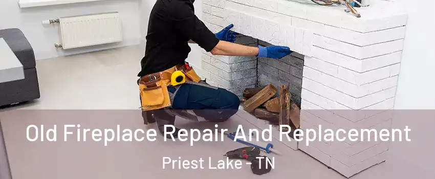 Old Fireplace Repair And Replacement Priest Lake - TN