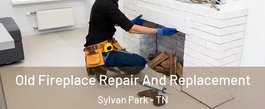 Old Fireplace Repair And Replacement Sylvan Park - TN