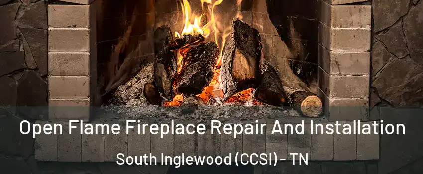 Open Flame Fireplace Repair And Installation South Inglewood (CCSI) - TN