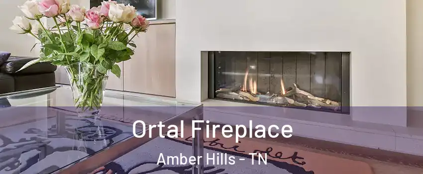 Ortal Fireplace Amber Hills - TN