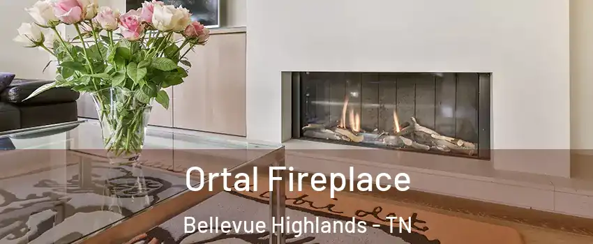 Ortal Fireplace Bellevue Highlands - TN