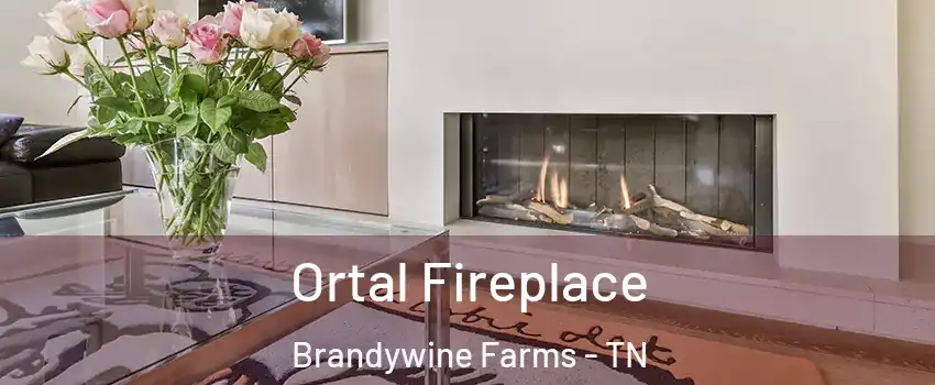 Ortal Fireplace Brandywine Farms - TN