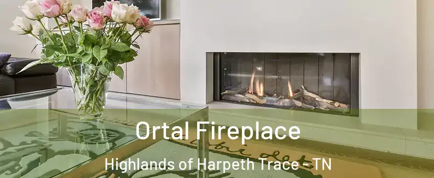 Ortal Fireplace Highlands of Harpeth Trace - TN