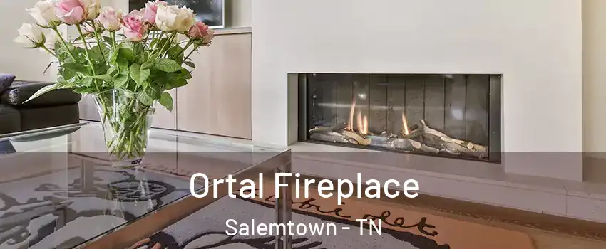 Ortal Fireplace Salemtown - TN