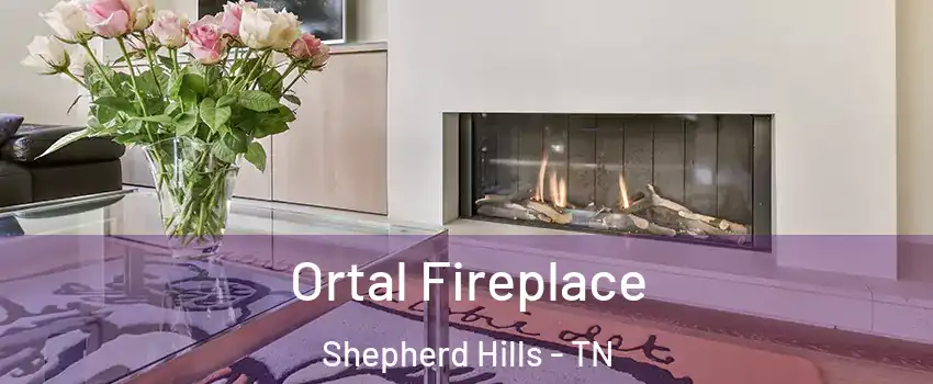 Ortal Fireplace Shepherd Hills - TN